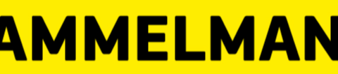 Hammelmann GmbH